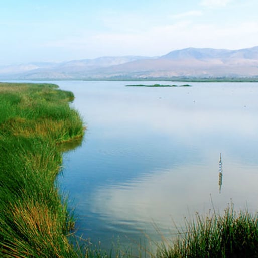 Laguna con vegetación de Mejía