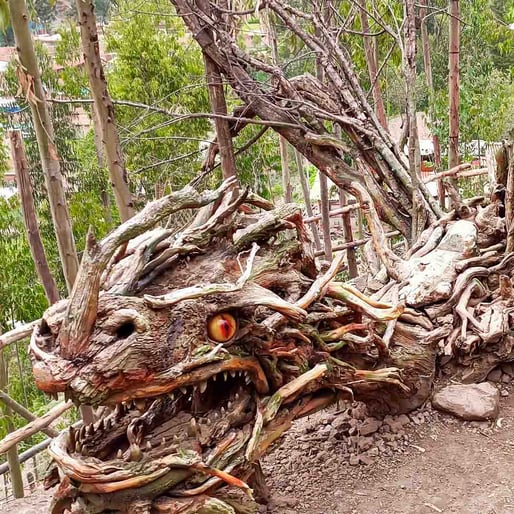 Bosque de los Ents - Huasao