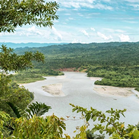 Manu National Park: Amazon's biodiversity haven 