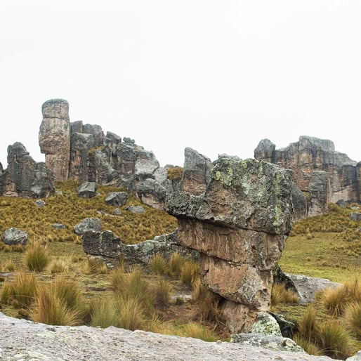 reserva natural en la selva de cusco