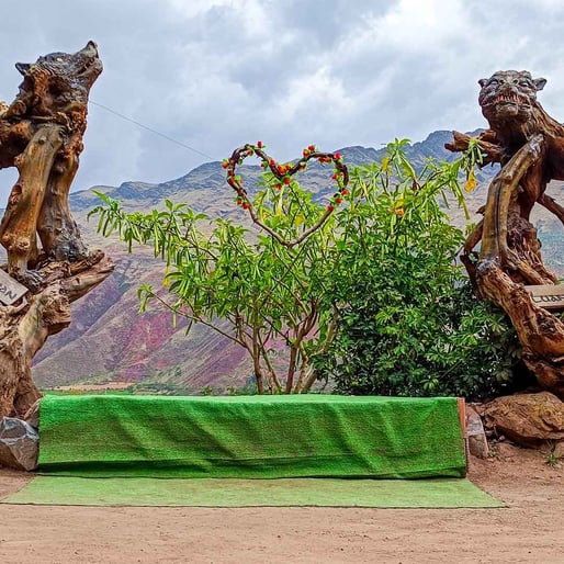 Bosque de los Ents - corazón en Huasao