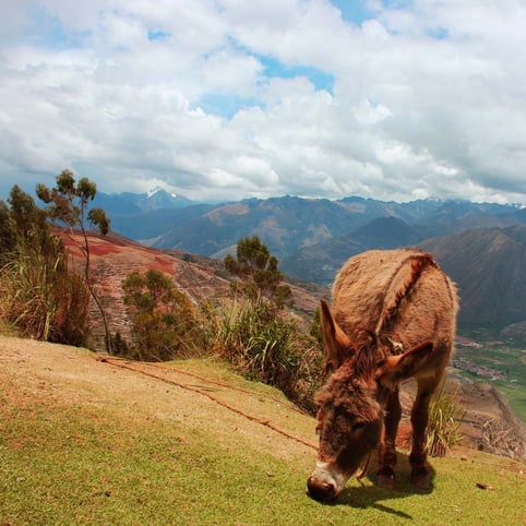 Imágenes de Valle Sagrado de los Incas 1