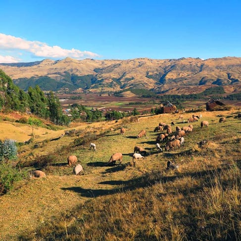 Historia del Valle Sagrado de los Incas