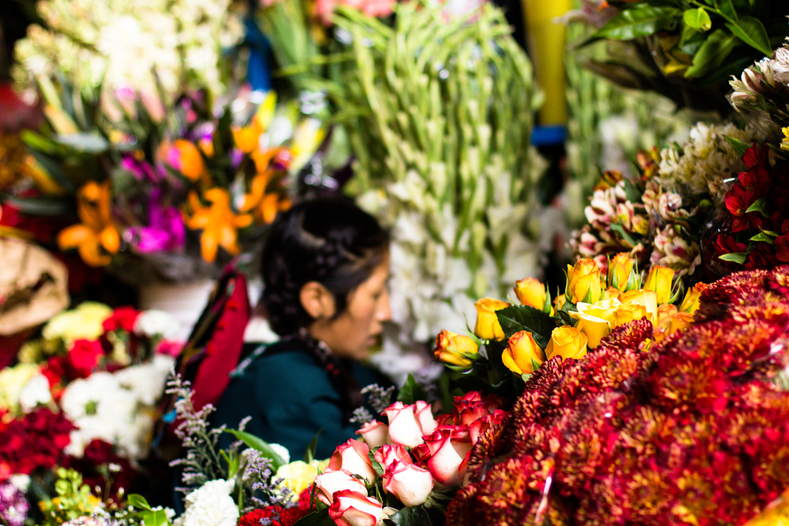 Things To See Cusco Blog flowers