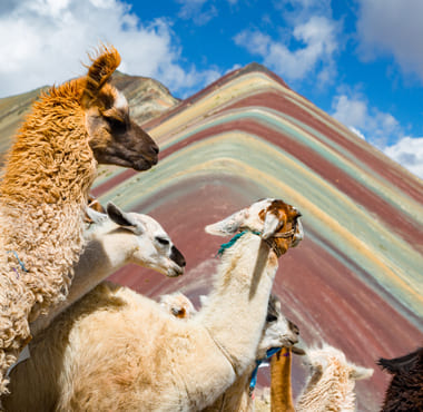 family machu picchu tour