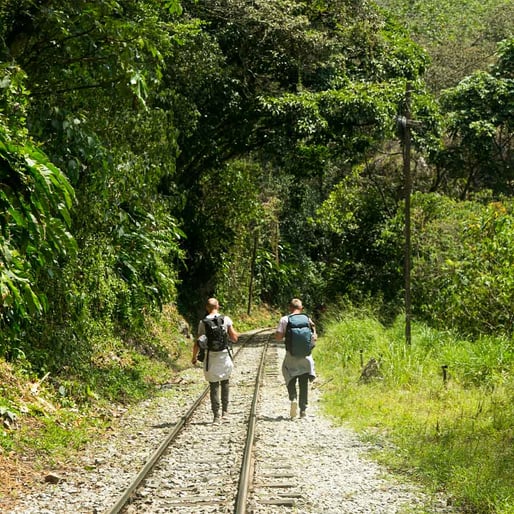 personas caminando en la selva de cusco